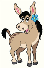 Donkey’s years