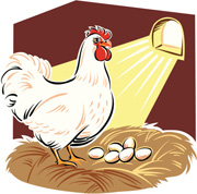 Don’t count your chickens before they hatch