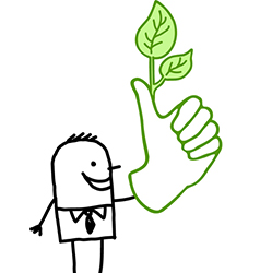 To have a green thumb