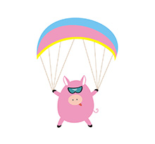 when-pigs-fly
