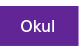 Okul